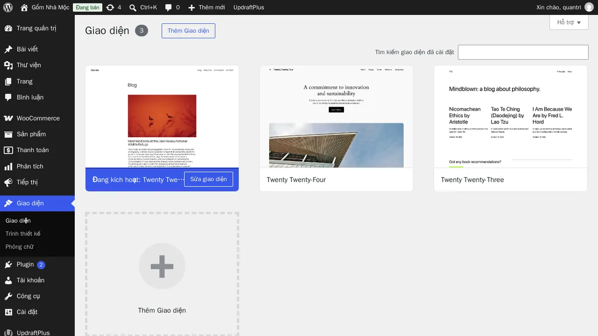 Giao diện → Giao diện trên web thử nghiệm: theme đang kích hoạt và các theme khác đã cài. Theme không dùng nên xoá bớt, chỉ giữ một theme mặc định để dự phòng khi lỗi.