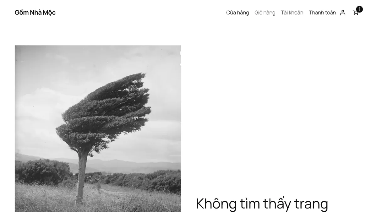 Trang 404 mặc định của theme Twenty Twenty-Five trên web thử nghiệm: chỉ có một dòng thông báo, chưa có ô tìm kiếm hay link về danh mục.